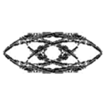 The Holy Order of Solum