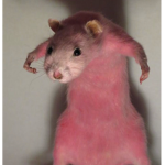 -DA RATS-