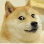 (THE DOGS)