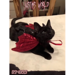 Justin’s w0r1d
