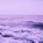 lavenderre's lounge