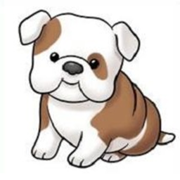 Bulldog Programs Hangout