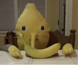 Lemongrab United Meetings
