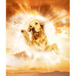The bagel (Dog) God