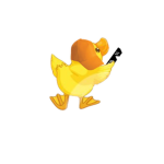 Teh Cool Duckies