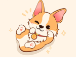 Corgi lol