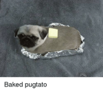 Ugly SCP-TATO
