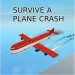 Survive a plane crash! icon
