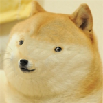 Shibe