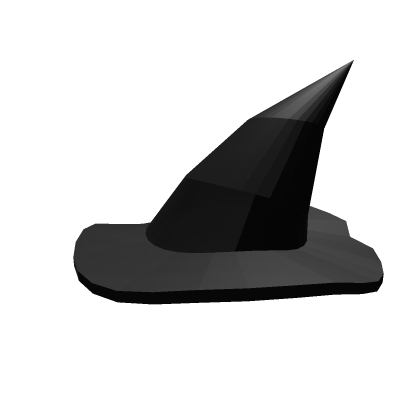 Beautiful Hat For Beautiful Witches And Wizards