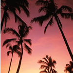 Try Sunsets