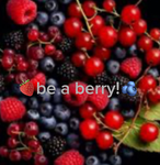 Be A Berry! :)