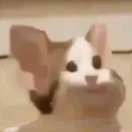 OKBOOMER123