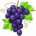 grapes community