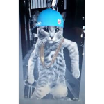 VERY SWAG CATS