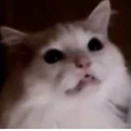 TEST icon