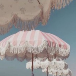 ୨ 🐚୧