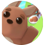Savanah playz fans!