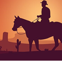 Crazy Wild West