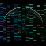 【 Zygardia 】 Assassins