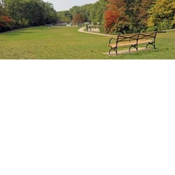 Day in The Park icon