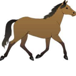 Sunflower tack and riders