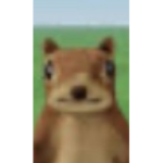 Robloxian dumb squirrels