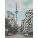 NZ is forever