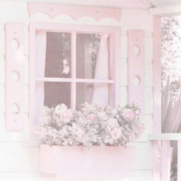 ʚ munchkin ɞ  homestore !