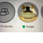 Doge has been good
