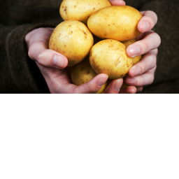Potatoes Vs. Refrigerators!