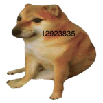 H3ll houndz