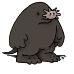 Team mole