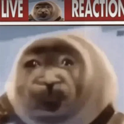 seal reaction