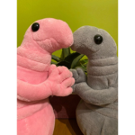 Wosh Club