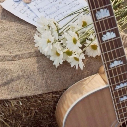 ｡˚ 🌾 ⊹