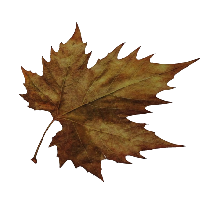 Autumn Fall Leaf Eye Cover