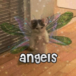 Angels≈