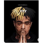 x we will revenge you
