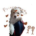 Princelovers