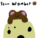 Team Wombat🐻