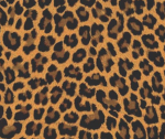 clothing couture⋆