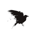 The Raven FamiIy