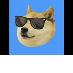 The Doge Clubhouse