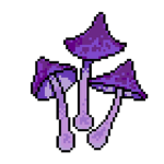 Purple Mushrooms