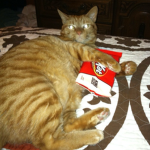 the kitkat plug