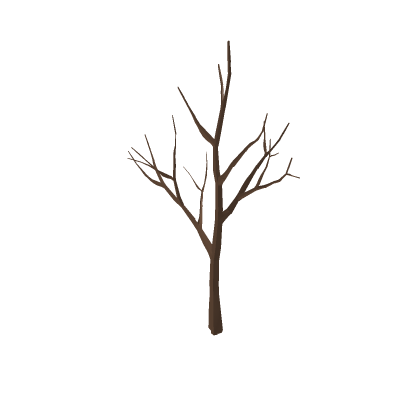 Huge tree without leaves