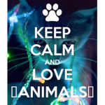 We all love animals!!