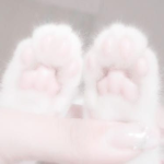 fooledkitties