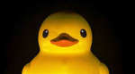 Ducky's Productions